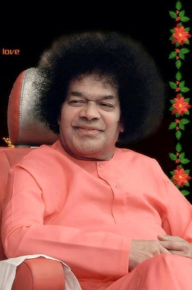 03126123