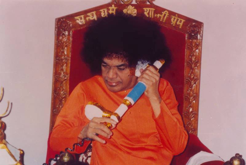 27029234