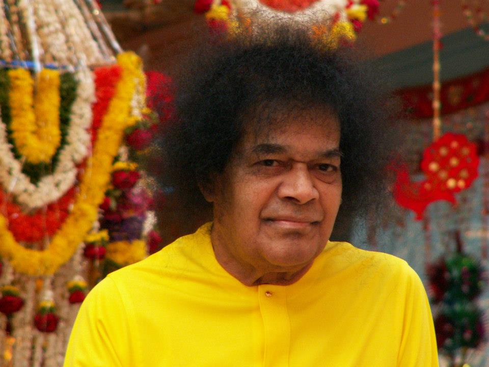 15129123
