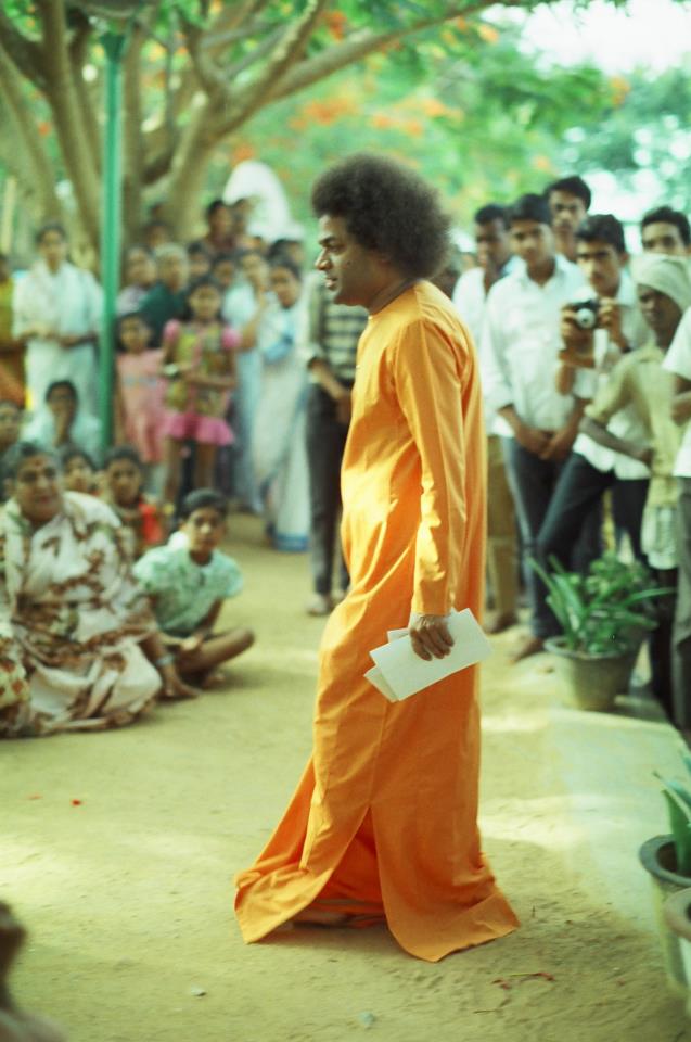 20129123